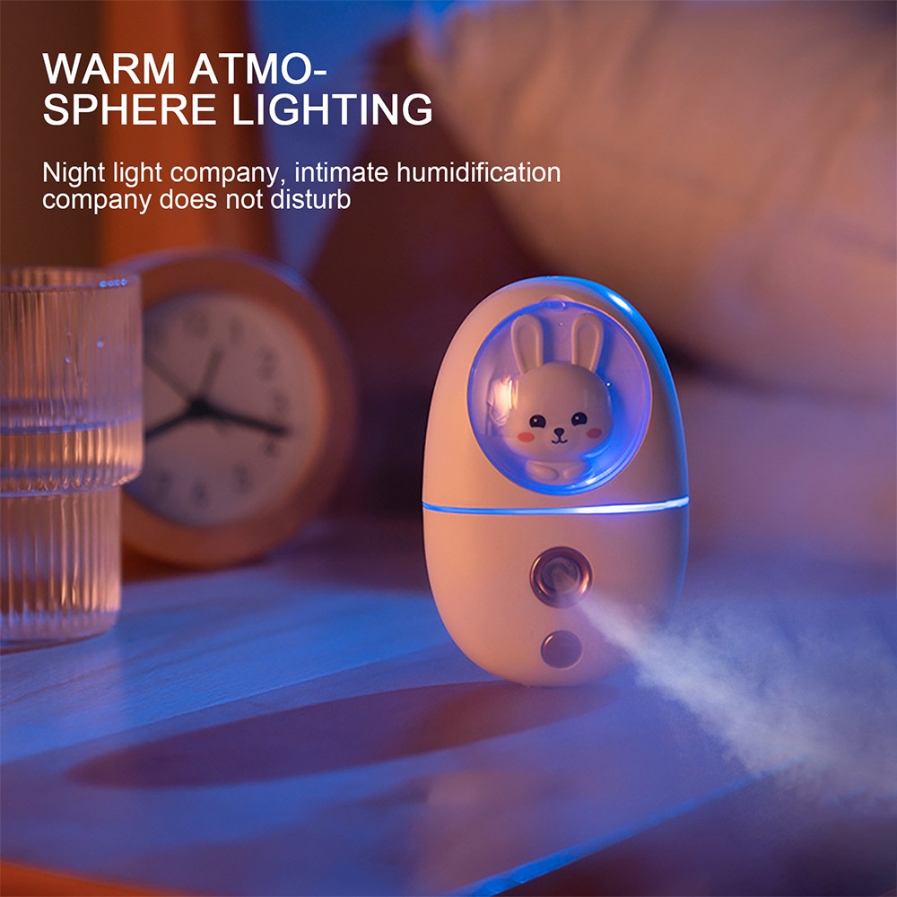 Mini humidificador facial de d - Face Steamer reseña y precio