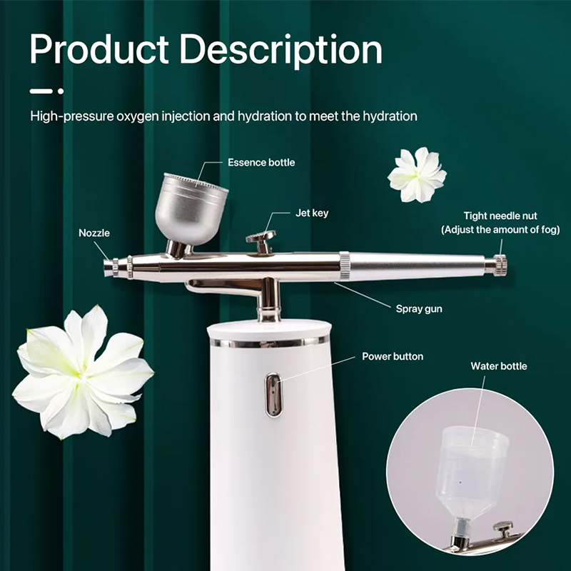 PAKISS-aerógrafo de niebla frí - Face Steamer reseña y precio