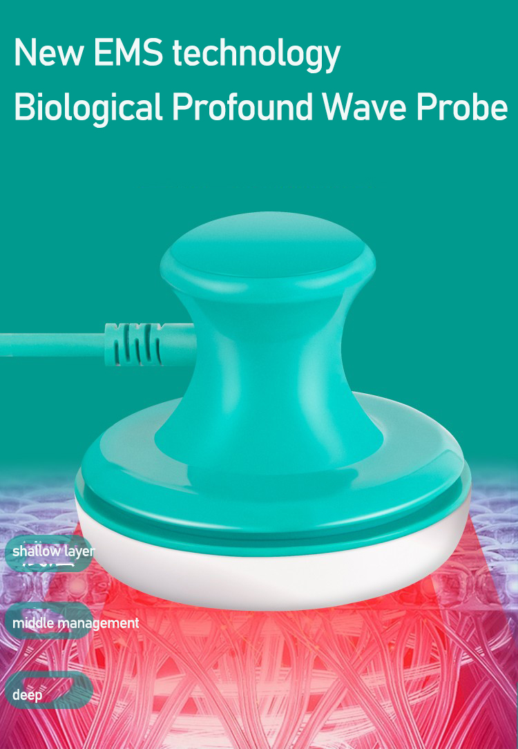 San Tong Master instrumento me - Body Brush reseña y precio